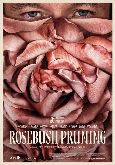 Rosebush Pruning