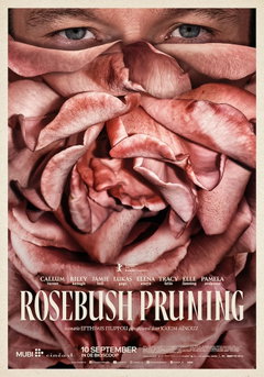 Rosebush Pruning (2026)