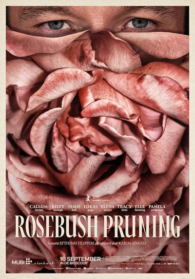 Rosebush Pruning
