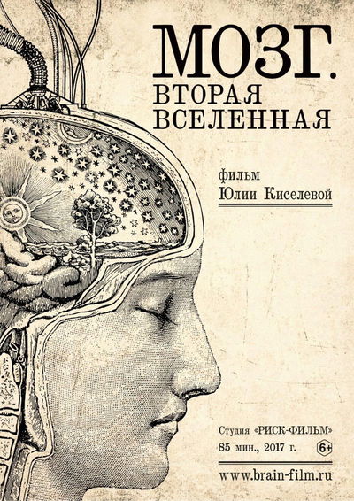 Brain. The Second Universe