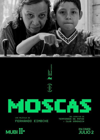 Moscas