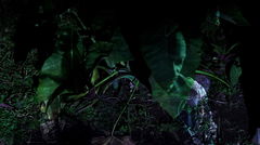 Yurugu - Invisible Lines (2026)