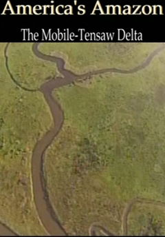 America's Amazon (2014)