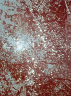 Du sang, de la volupté et de la mort, part II: Lysis (1948)