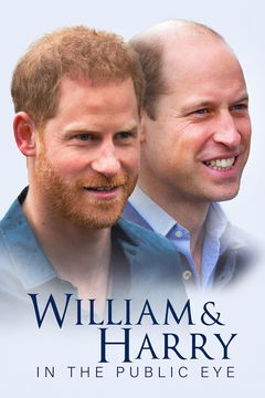 William and Harry in the Public Eye (2024)