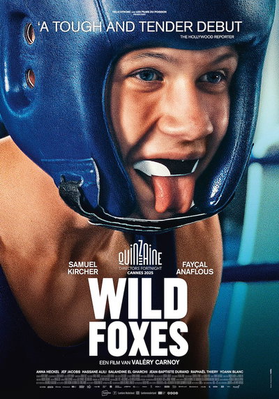 Wild Foxes