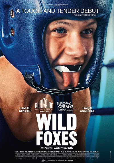 Wild Foxes