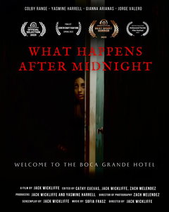 What Happens After Midnight (2024)