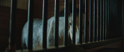 Untold: The Shooting at Hawthorne Hill