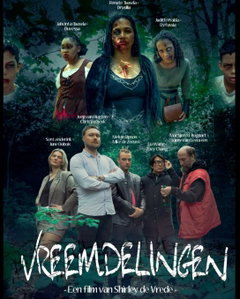 Vreemdelingen (2025)