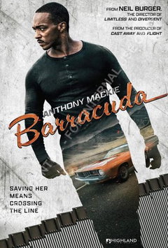 Barracuda