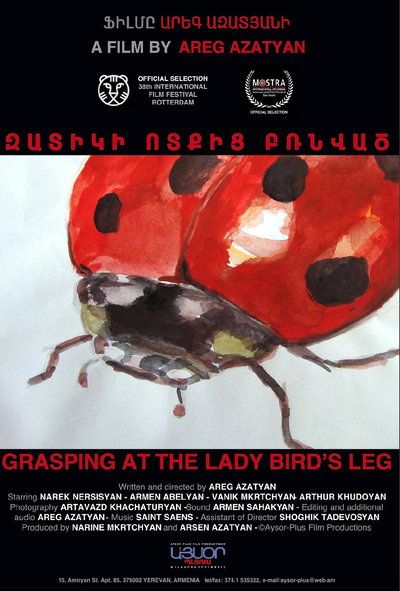Grasping at the Ladybird's Leg