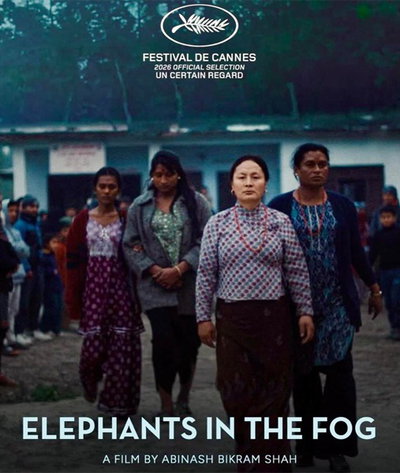 Elephants in the Fog