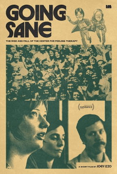 Going Sane: The Rise and Fall of the Center for Feeling Therapy (2026)