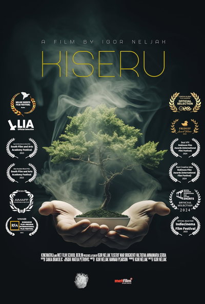Kiseru