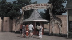 American Zoo (2026)