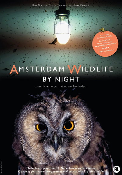 Amsterdam Wildlife by Night