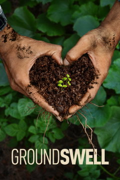 Groundswell (2026)