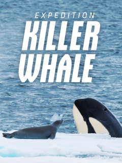 Expedition Killer Whale (2024)