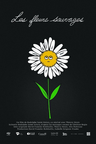 Les fleurs sauvages