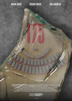 175 (2025)