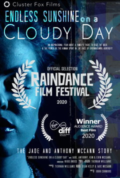 Endless Sunshine on a Cloudy Day (2020)