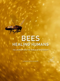 Bees Healing Humans (2025)
