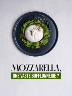 Mozzarella, une vaste bufflonnerie (2023)