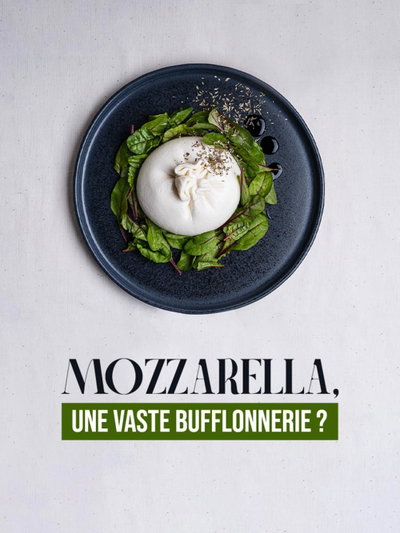 Mozzarella, une vaste bufflonnerie