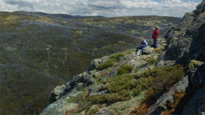 Wilderness