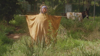 Land of Barbar