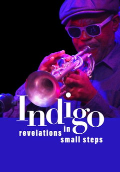 Indigo - Revelations in Small Steps (2023)