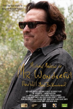 Mr. Wonderful (2026)