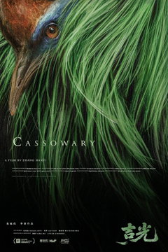 Cassowary (2026)