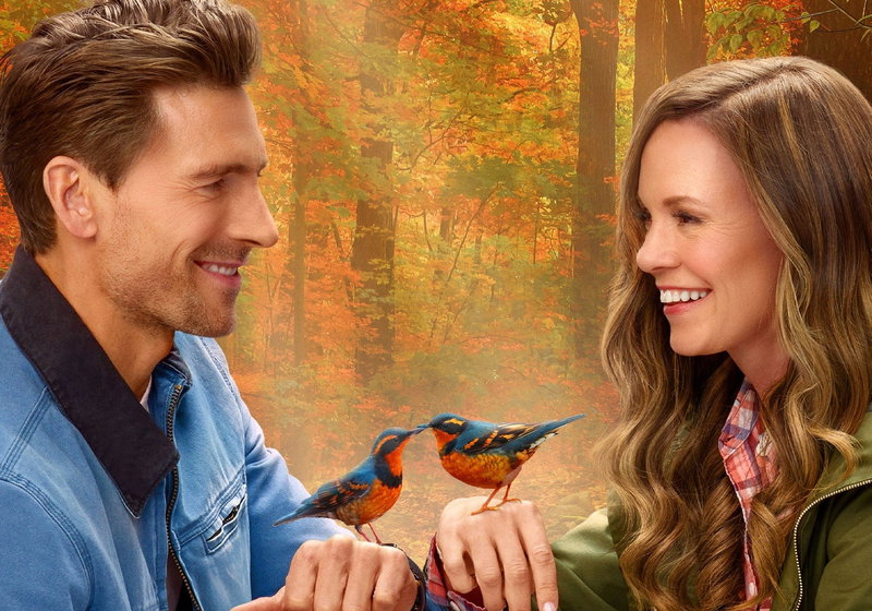 Top 10 Beste Romantische Komedies 2025 op Videoland (oktober 2026)