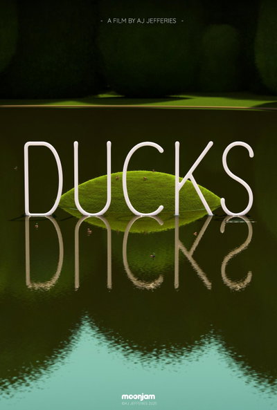 Ducks