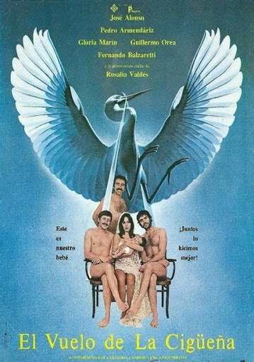 El vuelo de la cigüeña