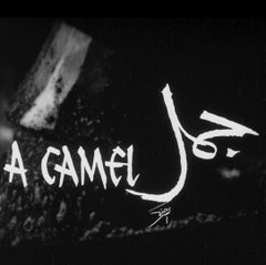 Jamal (1981)