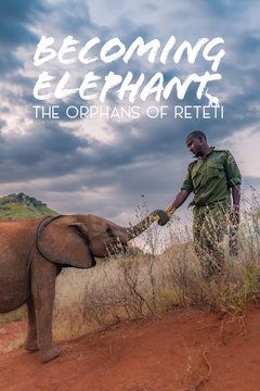 Becoming Elephant: The Orphans of Reteti - Baby Steps