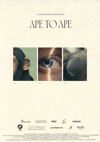 Ape to Ape
