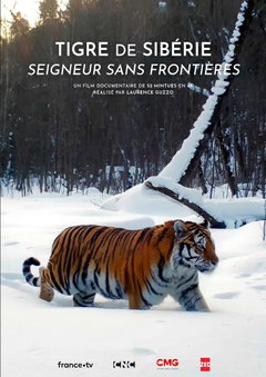 Tigre de Sibérie, seigneur sans frontières (2023)