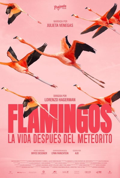 FLAMINGOS Life after the meteorite