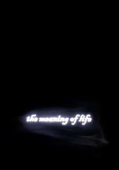 The Meaning of Life (2005)