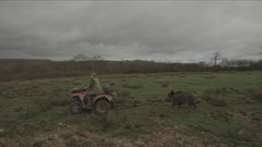 Derek's Ark