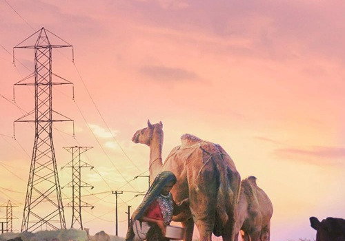 Top 20 Beste Documentaires 2025 op Amazon Prime Video (oktober 2026)
