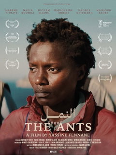 The Ants (2025)