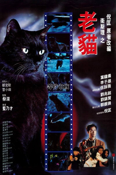 The Cat