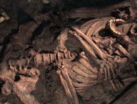 Les origines du langage