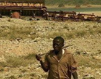 Pale peko bantu mambo ayikosake (2008)