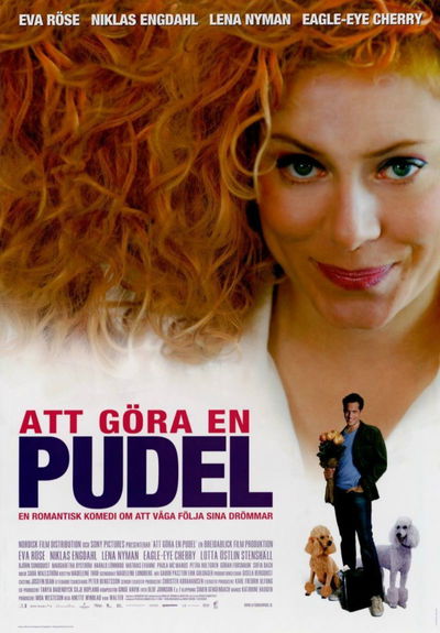Att göra en pudel